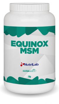 Equinox_MSM_1kg