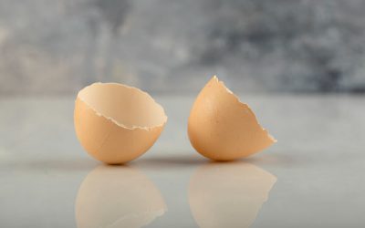 Yumurta Kabuk Kalitesi Nasıl Artırılır?